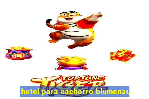 hotel para cachorro blumenau